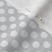 (small scale) volleyballs - light grey - LAD22