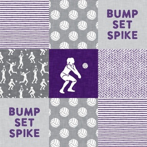 Bump Set Spike - Volleyball Patchwork - Wholecloth in purple and grey -  LAD22