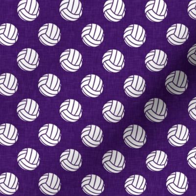 volleyballs - purple - LAD22