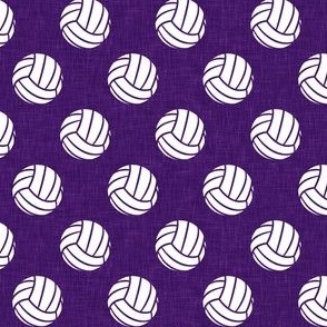 volleyballs - purple - LAD22