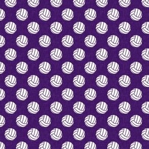 (small scale) volleyballs - purple - LAD22