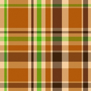 Plaid // Pumpkin