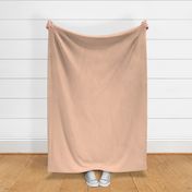 Tweed in Pink 1.5x.2