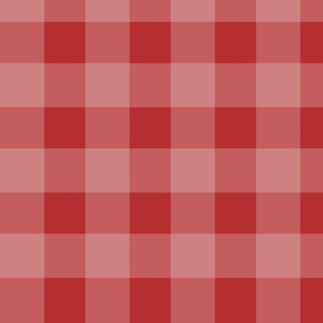 Large Red Gingham Check