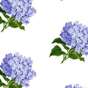 Vintage hydrangea flowers (medium)