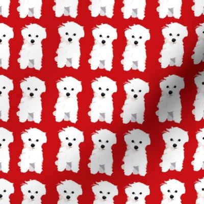 White bichon frise modern puppy dog pattern | medium version | Puppy print