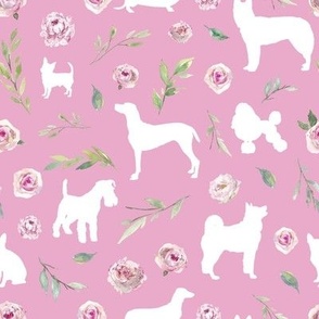 small white dog pink floral pink bg