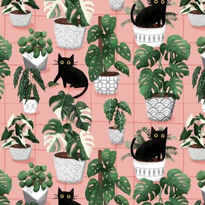 My Hobby: Plants & cats