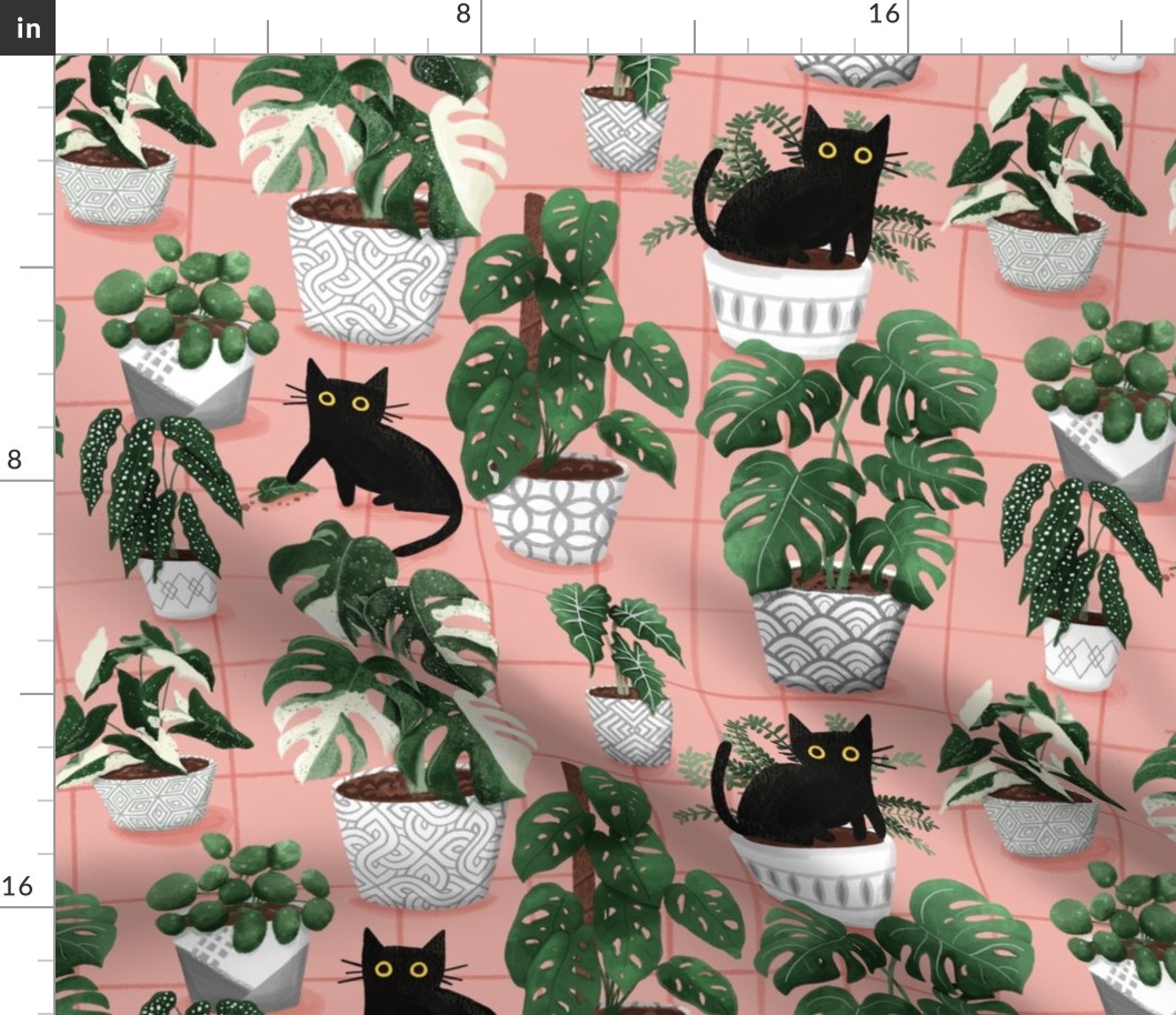 My Hobby: Plants & cats
