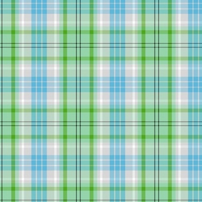 Tartan // Spring Day