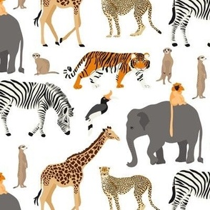 Safari Jungle Animals