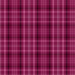 Tartan // Raspberry