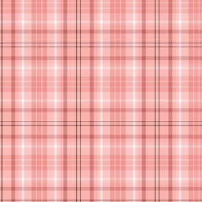 Tartan // Strawberries & Cream