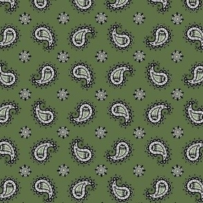 longhorn  paisley sage green