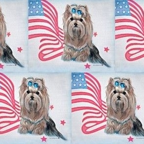 Patriotic Yorkie