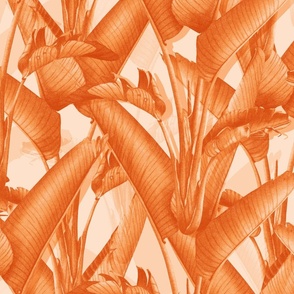 Strelitzia palm jungle/orange cream/large scale