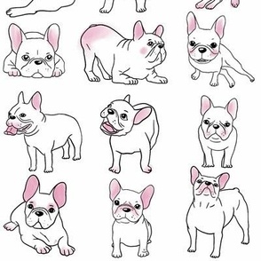 French bulldog puppies white with pink details
