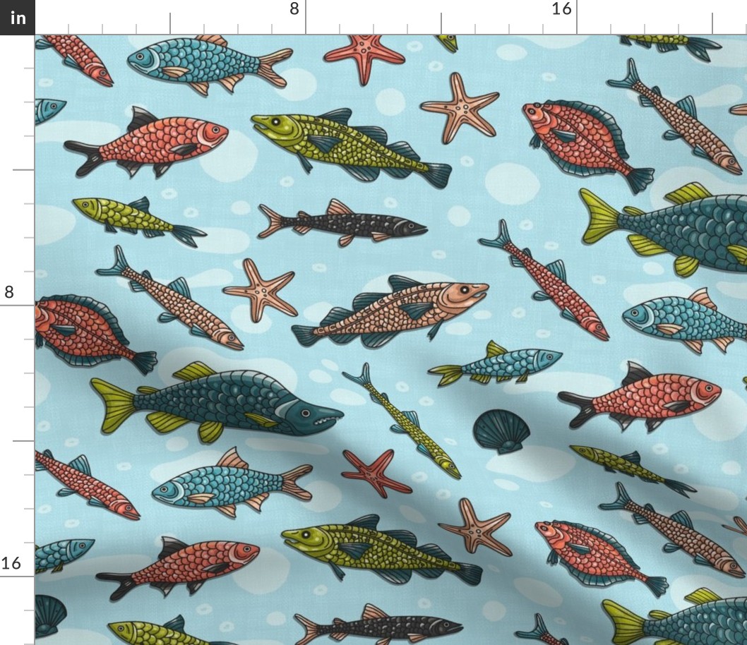 Colorful Ocean and River Fish / Medium Scale