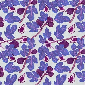 Fresh Figs - Purples
