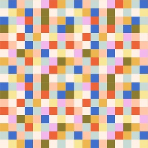 Multi Color Checkers 1"