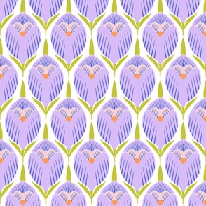 spring violet crocuses   