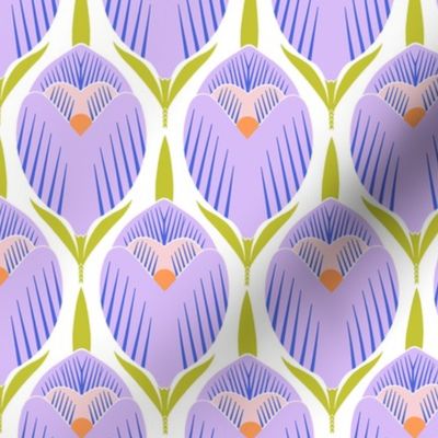 spring violet crocuses on a white background      