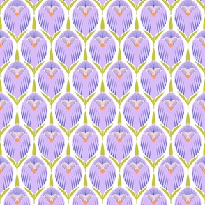 spring violet crocuses on a white background      