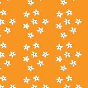 Orange Tree Flowers on orange