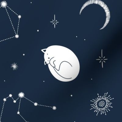 Cats and stars