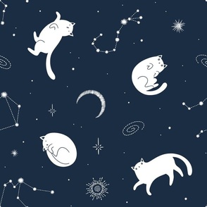 Cats and stars