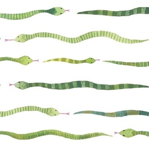 Medium - Snake Stripes - White Background