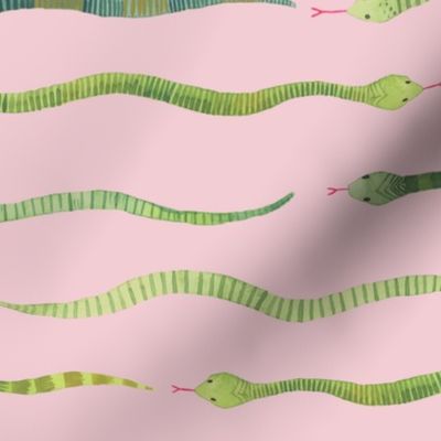 Medium - Snake Stripes - Pink Background