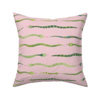 Medium - Snake Stripes - Pink Background