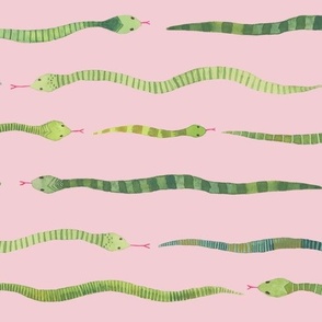 Medium - Snake Stripes - Pink Background