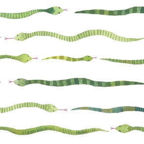 Large - Snake Stripes - White Background