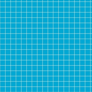 Brite Blue / Off-White 1-Inch Grid