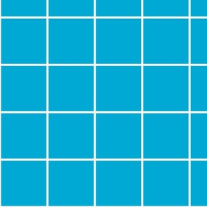Brite Blue / Off-White 4-Inch Grid