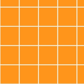 Brite Orange / Off-White 4-Inch Grid