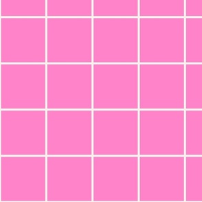 Brite Pink / Off-White 4-Inch Grid