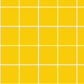 Brite Yellow / Off-White 4-Inch Grid
