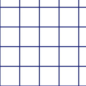 White / Sapphire 4-Inch Grid