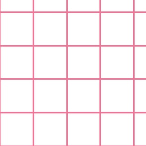 White / Bubble Gum 4-Inch Grid