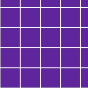 Grape / White 4-Inch Grid