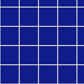 Sapphire / White 4-Inch Grid