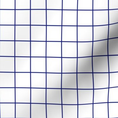 White / Sapphire 1-Inch Grid