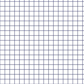 White / Sapphire 1-Inch Grid