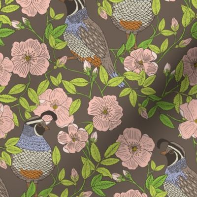 Quail and Wild Roses, Full Color