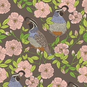 Quail and Wild Roses, Full Color