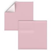 Briar Rose Solid edc5ce Color Map H5
