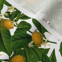 Lemon Botanical ~ Small